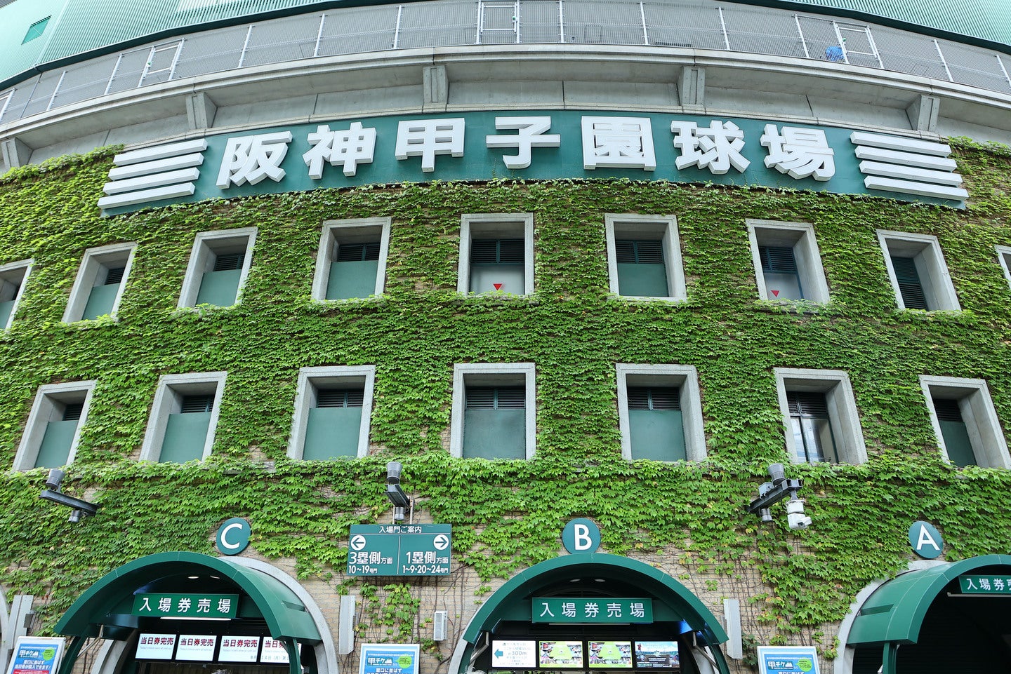 夏の甲子園の準決勝に現れた人気声優に視線が集まっている。写真：梅月智史（THE DIGEST写真部）