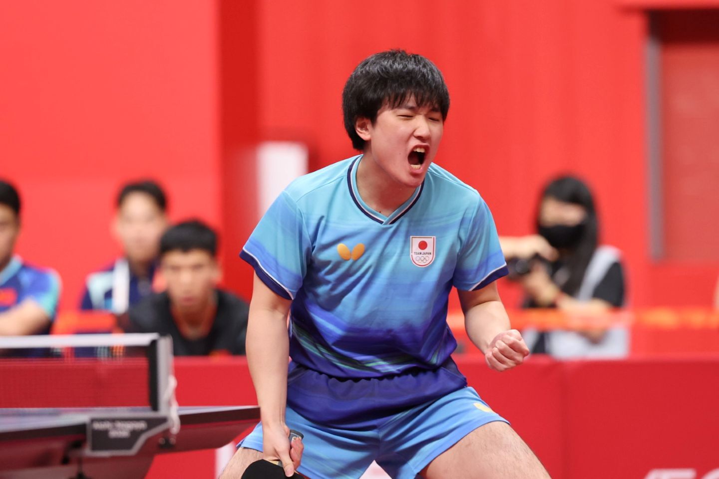 第２試合では張本が温瑞博に３-１で勝利した。写真：梅月智史（THE DIGEST写真部）