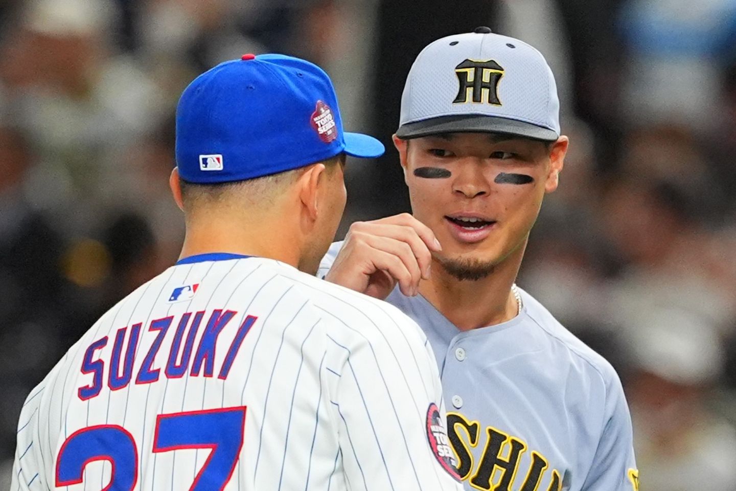 阪神は25年の開幕前に日本でカブスと対戦。佐藤輝明と鈴木誠也の交流も見られた。 (C) Getty Images