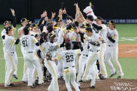 ４連勝で２年連続日本一に輝いたソフトバンク。客席にかつての助っ人に激似の芸人がいた。写真：産経新聞社